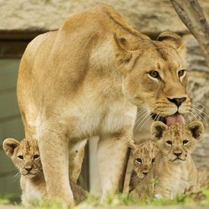 Meet your Posher, Rhonda